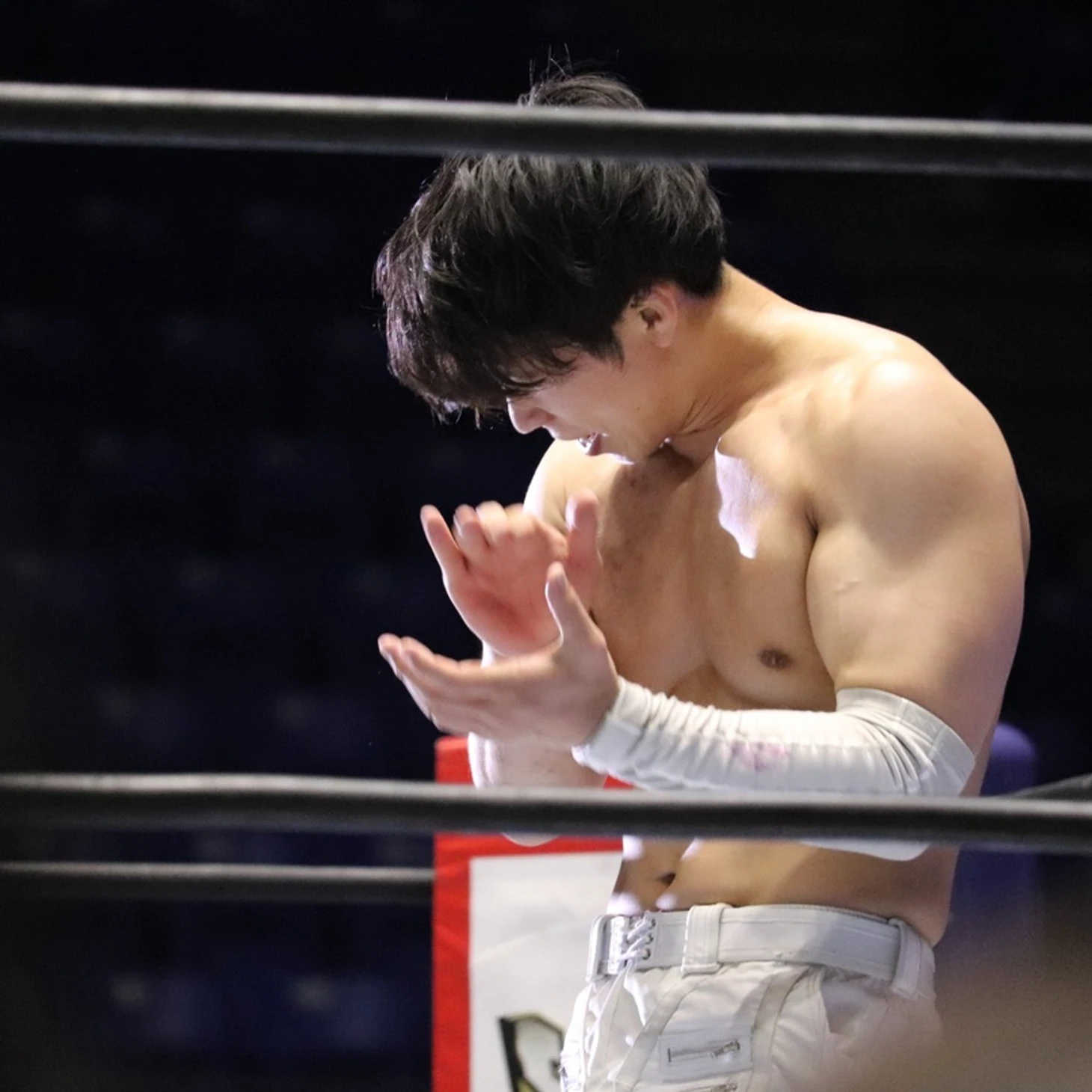 Обзор пятого дня NJPW Best of the Super Juniors 29, изображение №12