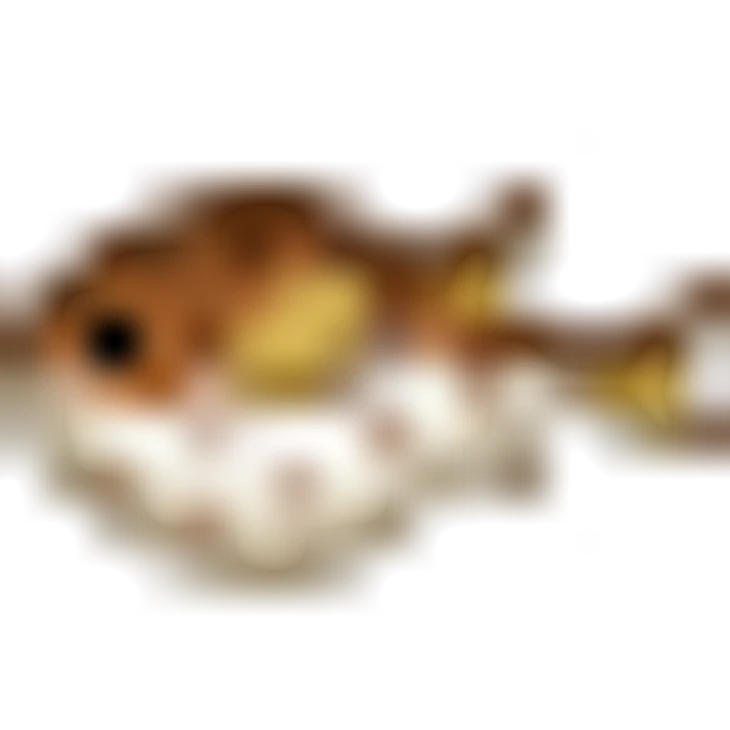 🐡