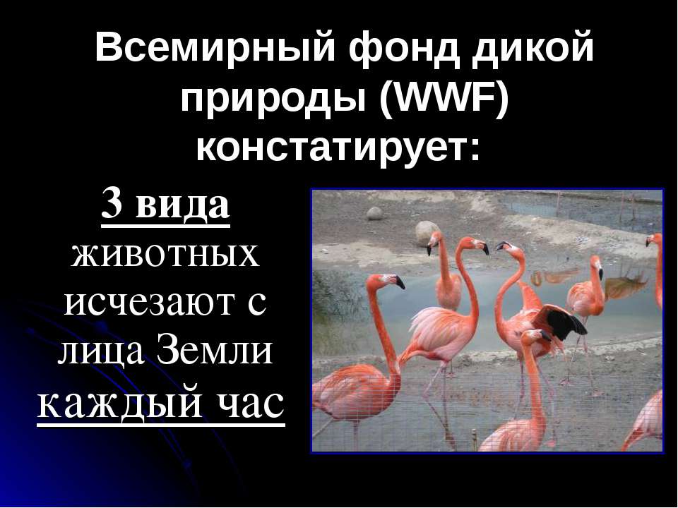 Ставки на спорт