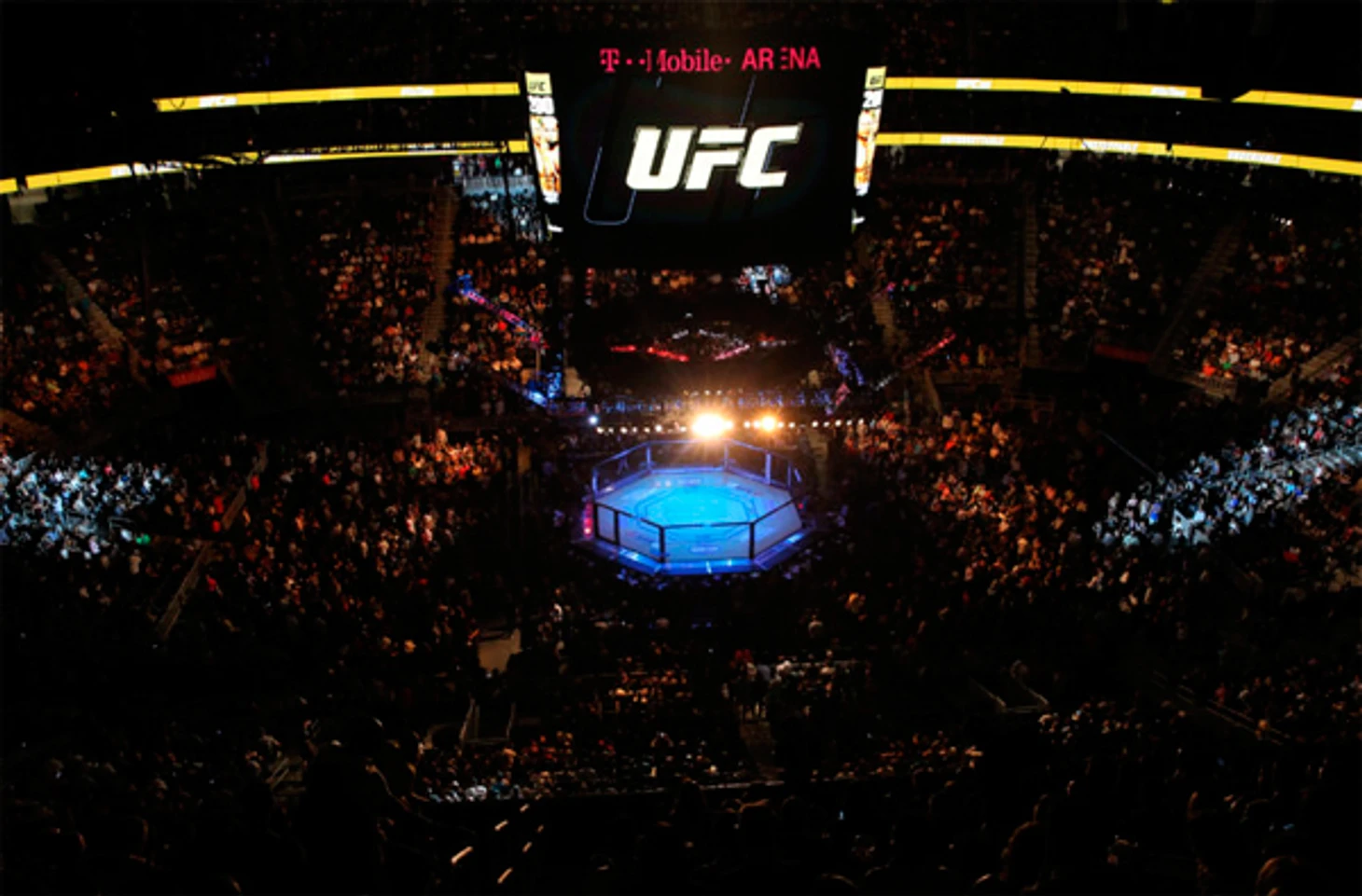 Ставки на UFC онлайн в букмекерских конторах