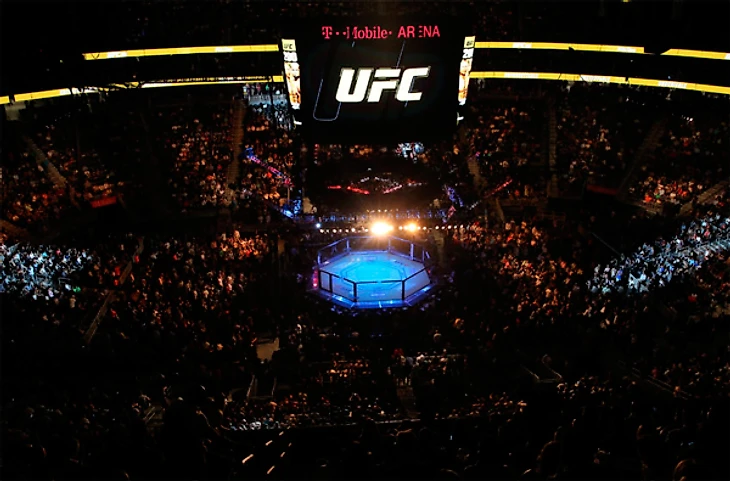 Ставки на UFC онлайн в букмекерских конторах