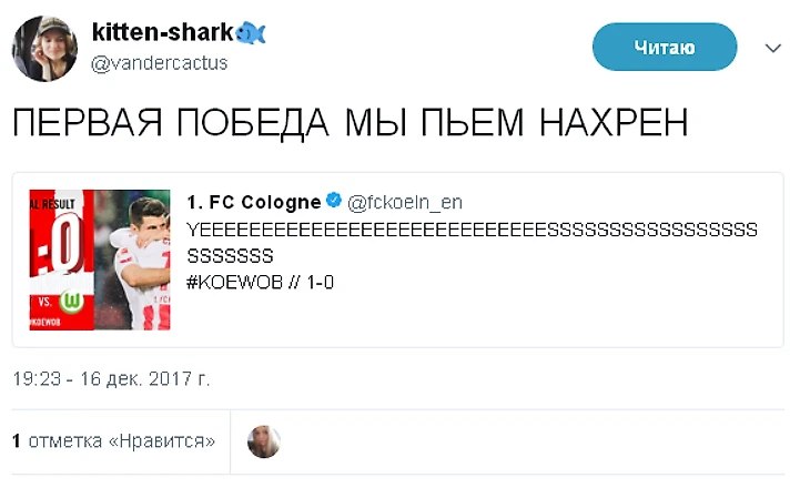 КельнВолки2