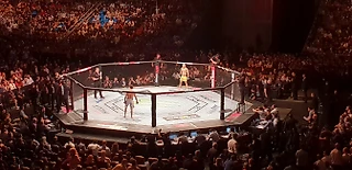 UFC Fight Night 136. Как прошёл первый турнир UFC  в России