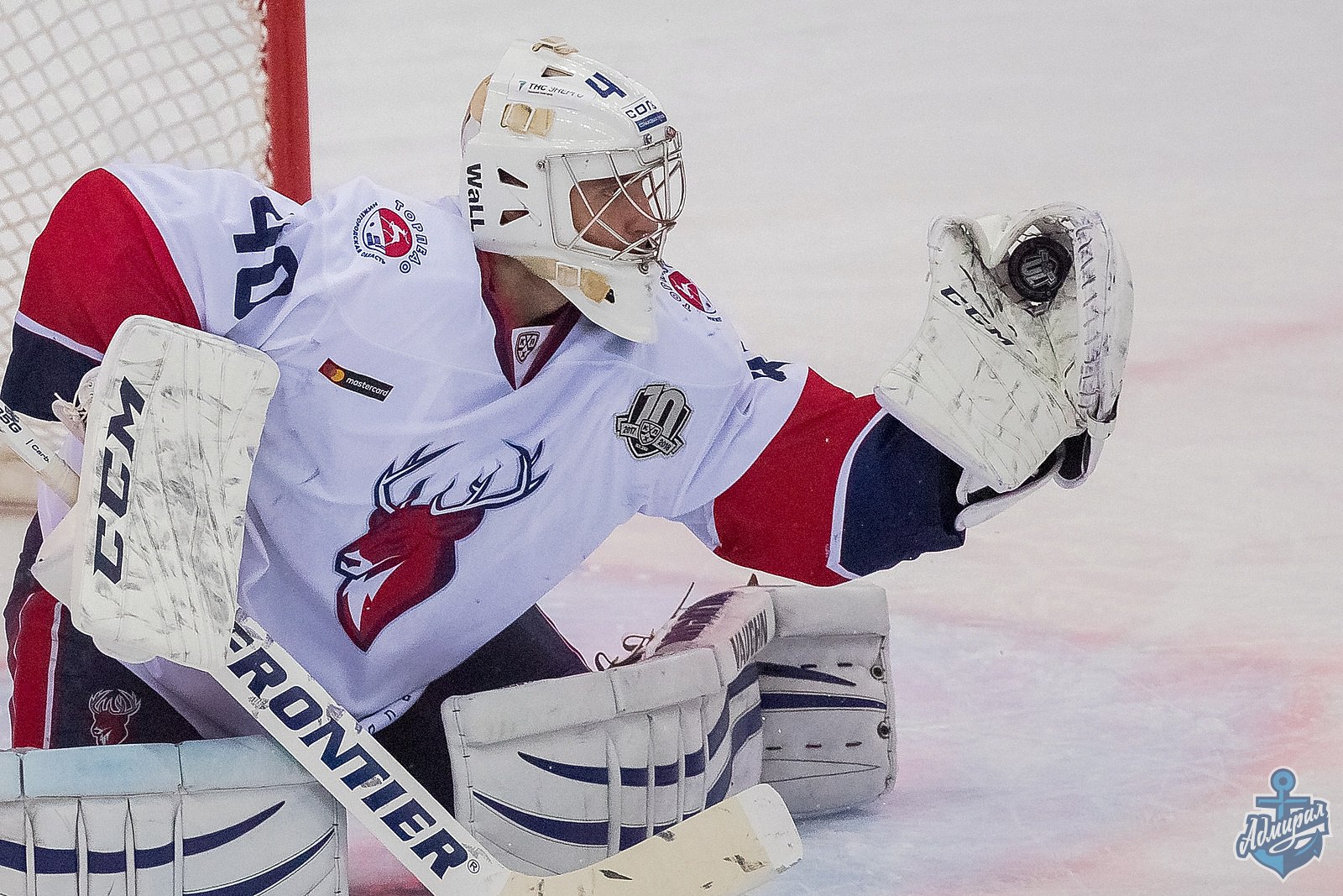 Торпедо НН: сушите вёсла, моряки