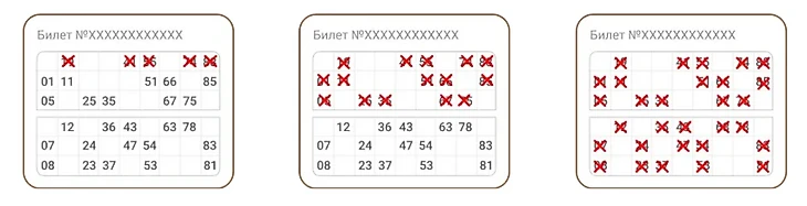 Выигрышные комбинации в Русское лото