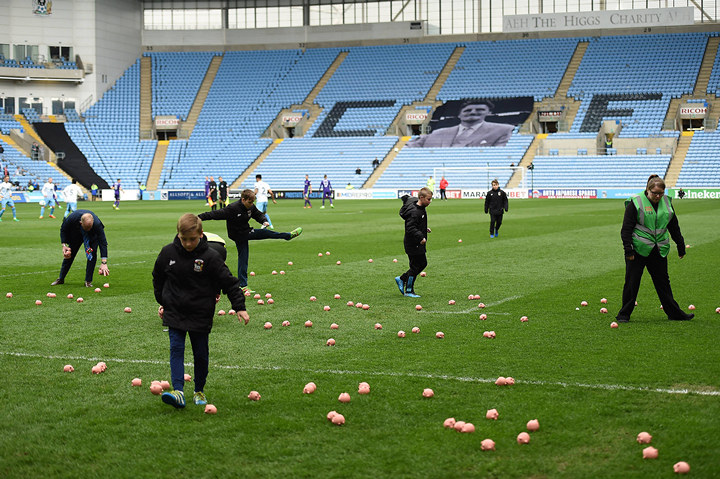 Свиньи на поле. Как протестуют английские фанаты