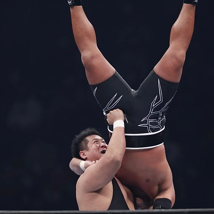 NJPW Wrestle Kingdom 16 “New Japan vs. NOAH”, изображение №5