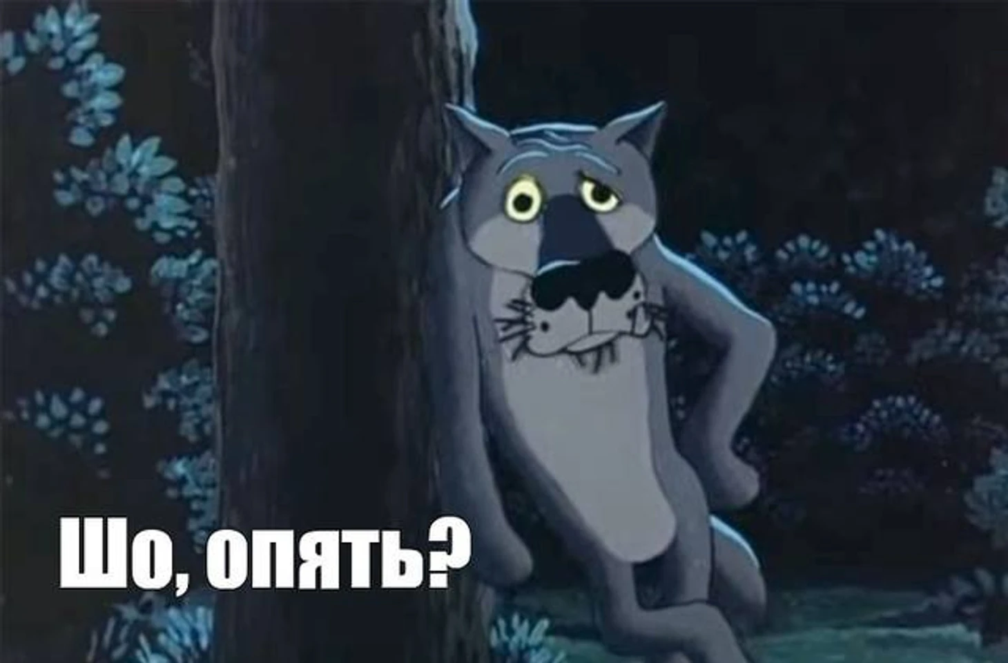 руководство ФК &quout;Луч&quout; Владивосток