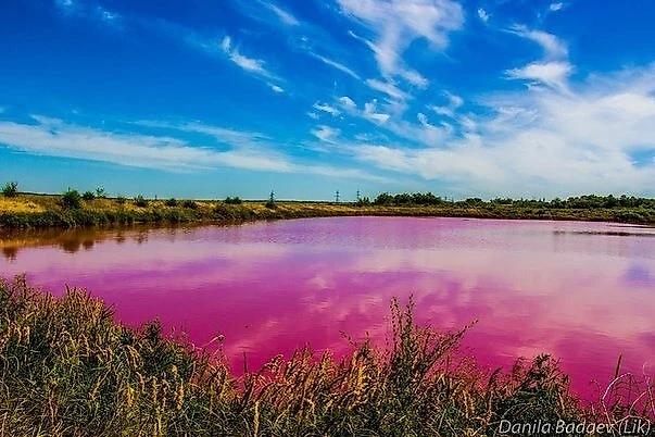 розовое озеро