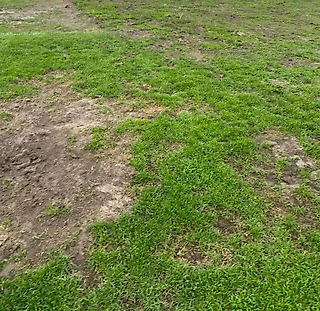 Айдын Кожахмет показал состояние газона на стадионе в Таразе. Спойлер: все плачевно