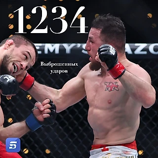 Мераба Двалишвили вполне можно назвать бойцом года — как минимум по цифрам