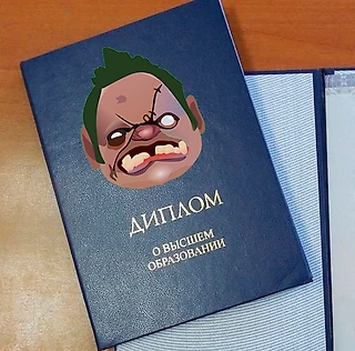 Ты что, всю жизнь будешь в игрушки играть? 
Как и где получить «киберспортивный» диплом