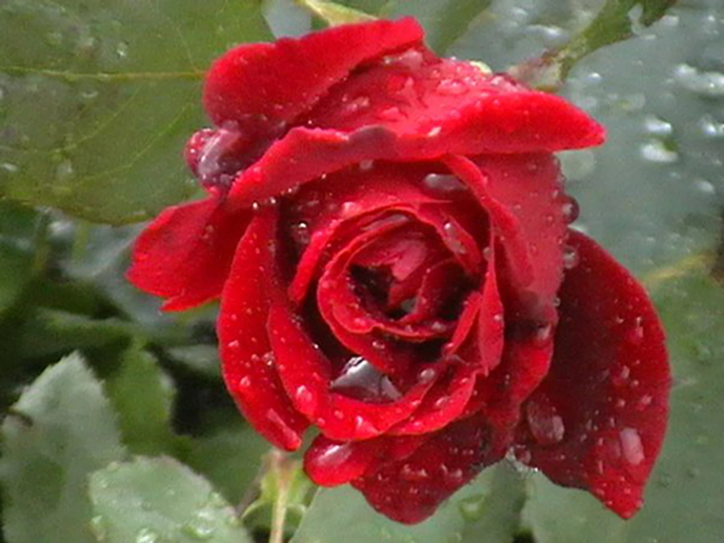 =