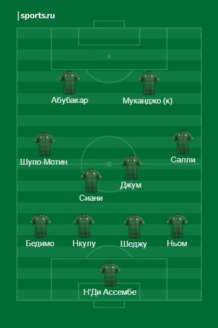 Расстановка сборной Камеруна