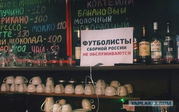 Обзор Трибуны
