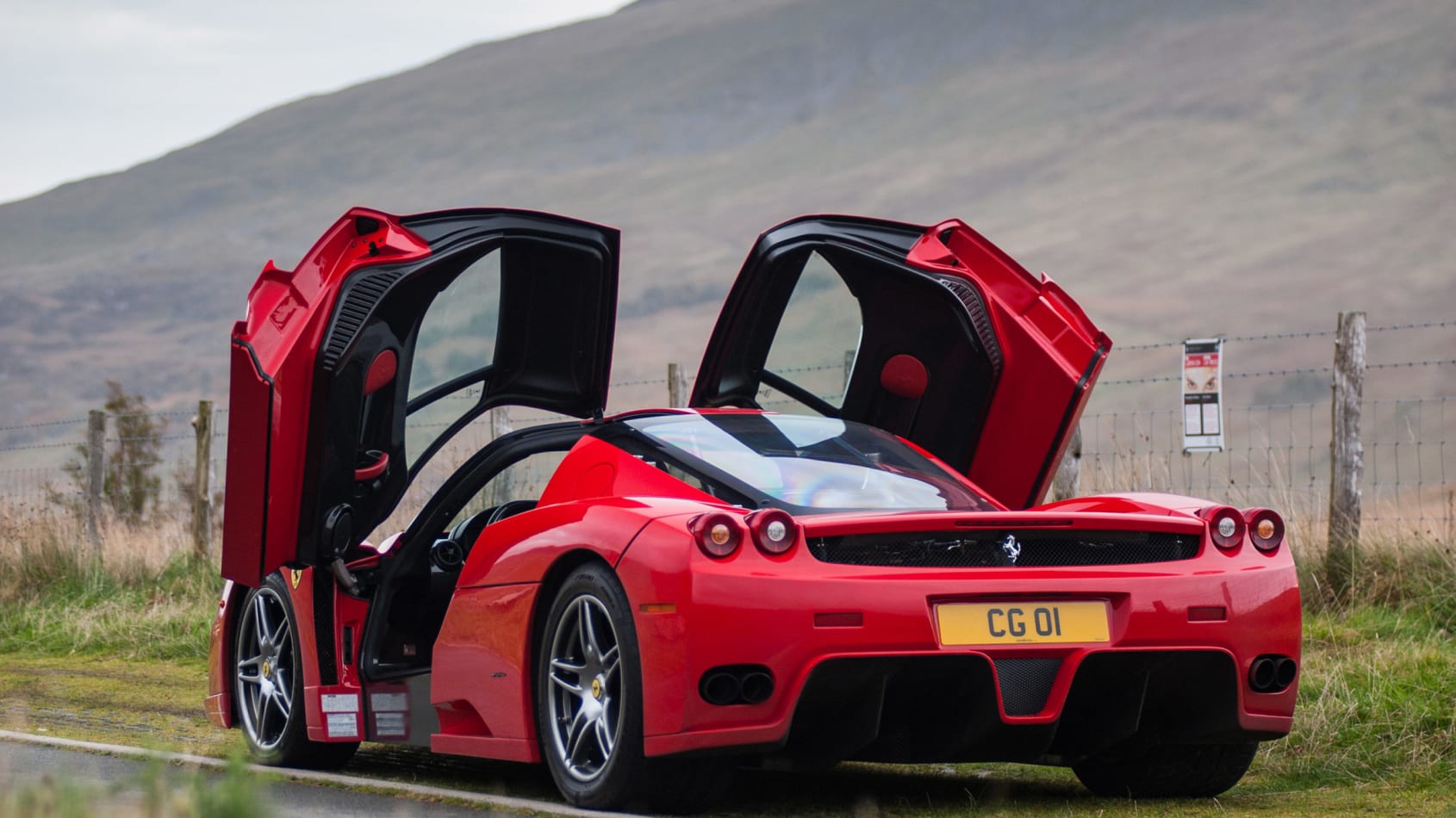 Ferrari Enzo f1