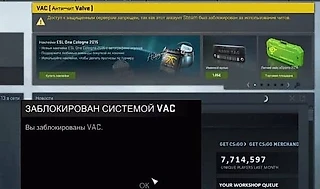 Какие бывают баны в CS:GO