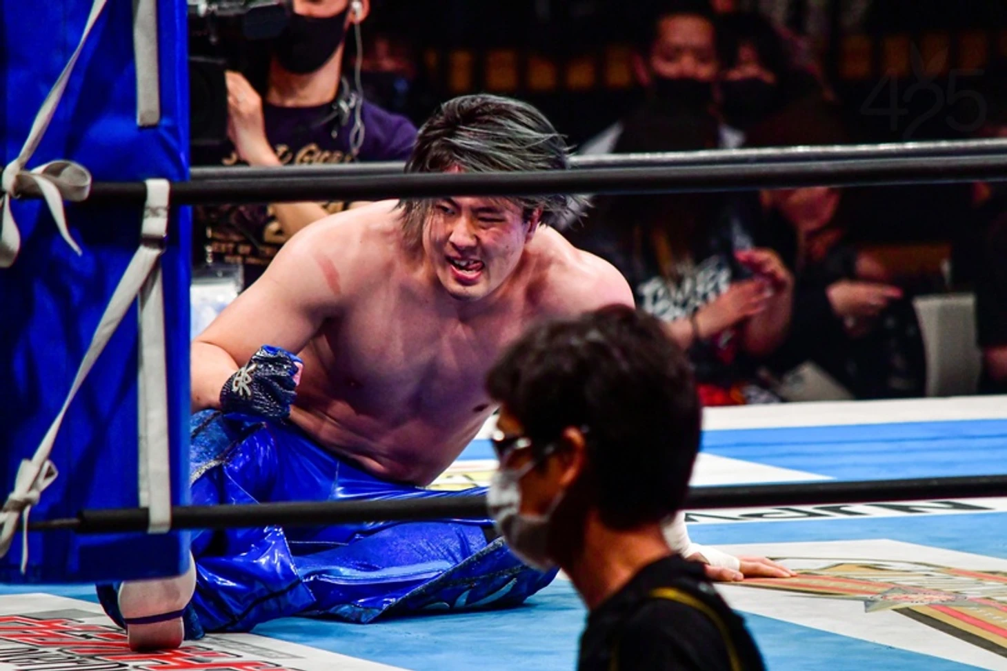 Обзор одиннадцатого дня NJPW Best of the Super Juniors 29, изображение №2