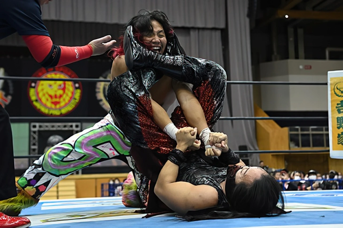 Обзор второго дня NJPW Best of the Super Juniors 30, изображение №12