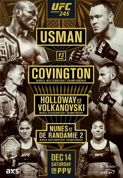 Большой турнир в Лас-Вегасе - UFC 245