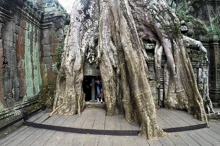 Игорь КИреев