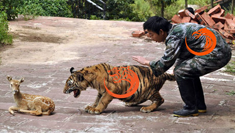 Фото публикации