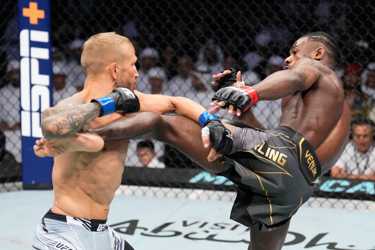 Aljamain Sterling vs. T.J. Dillashaw full fight video highlights - MMA Fighting