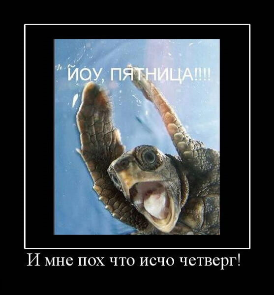 Ставки на спорт