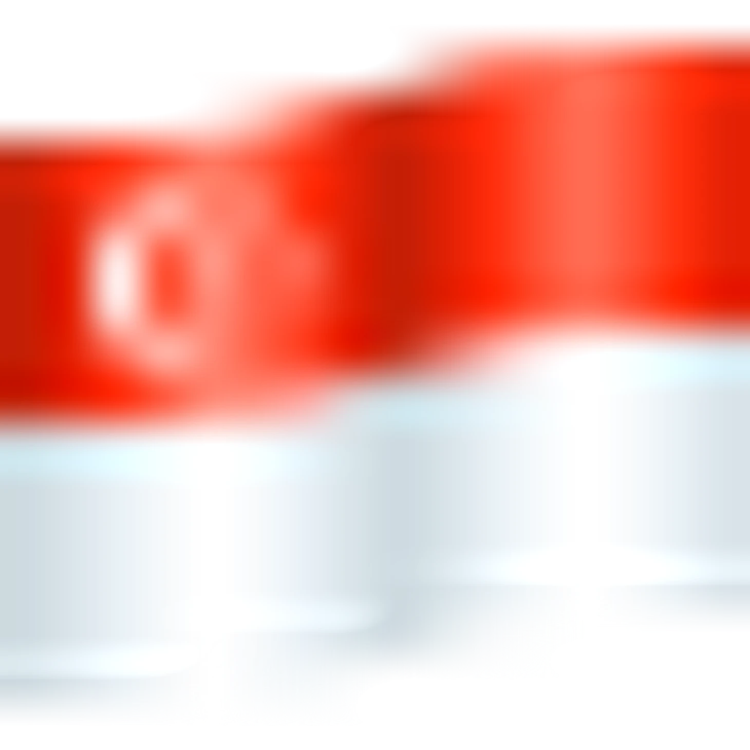 🇸🇬