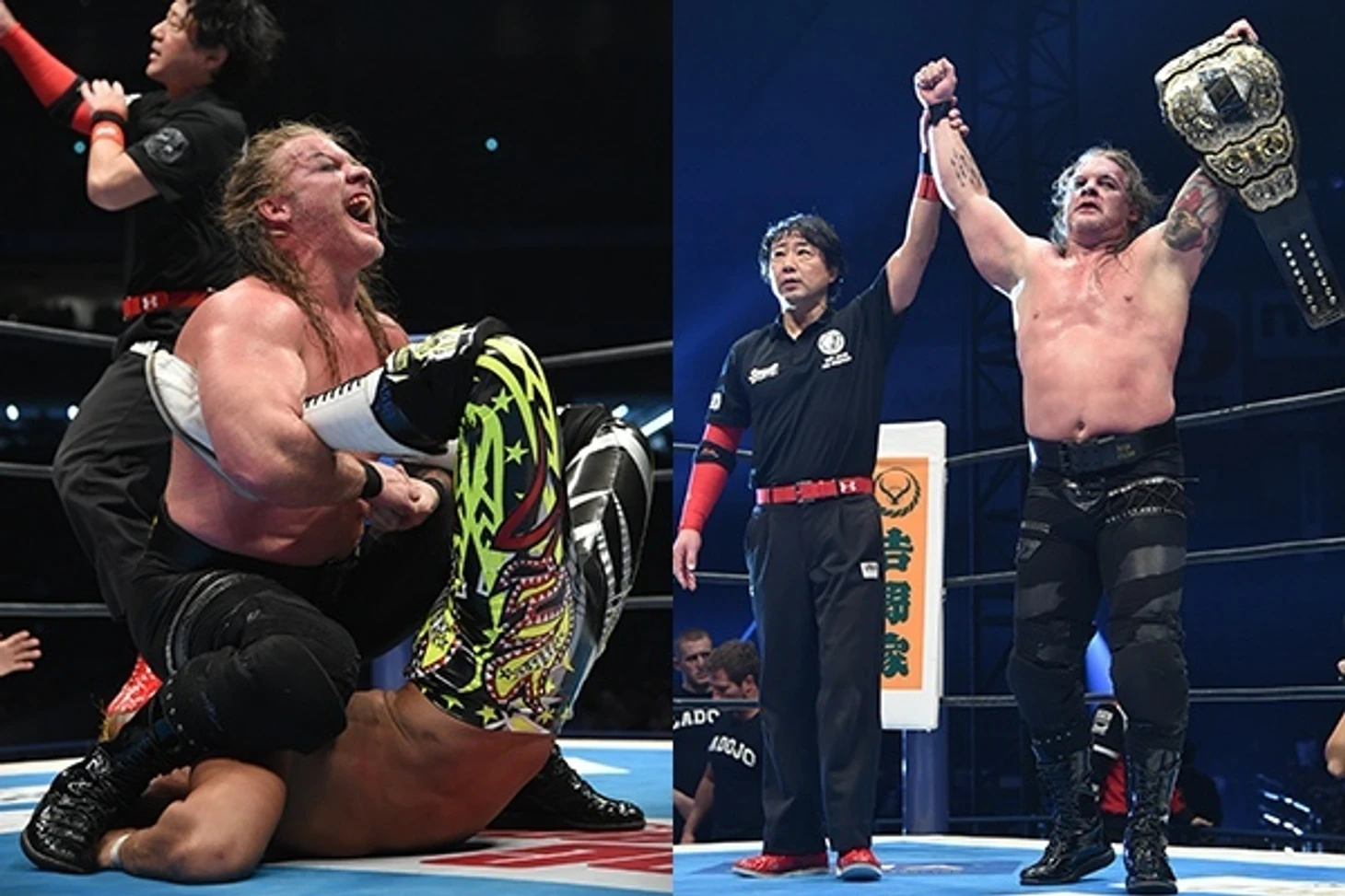 Обзор 2-го дня NJPW Wrestle Kingdom 14, изображение №25