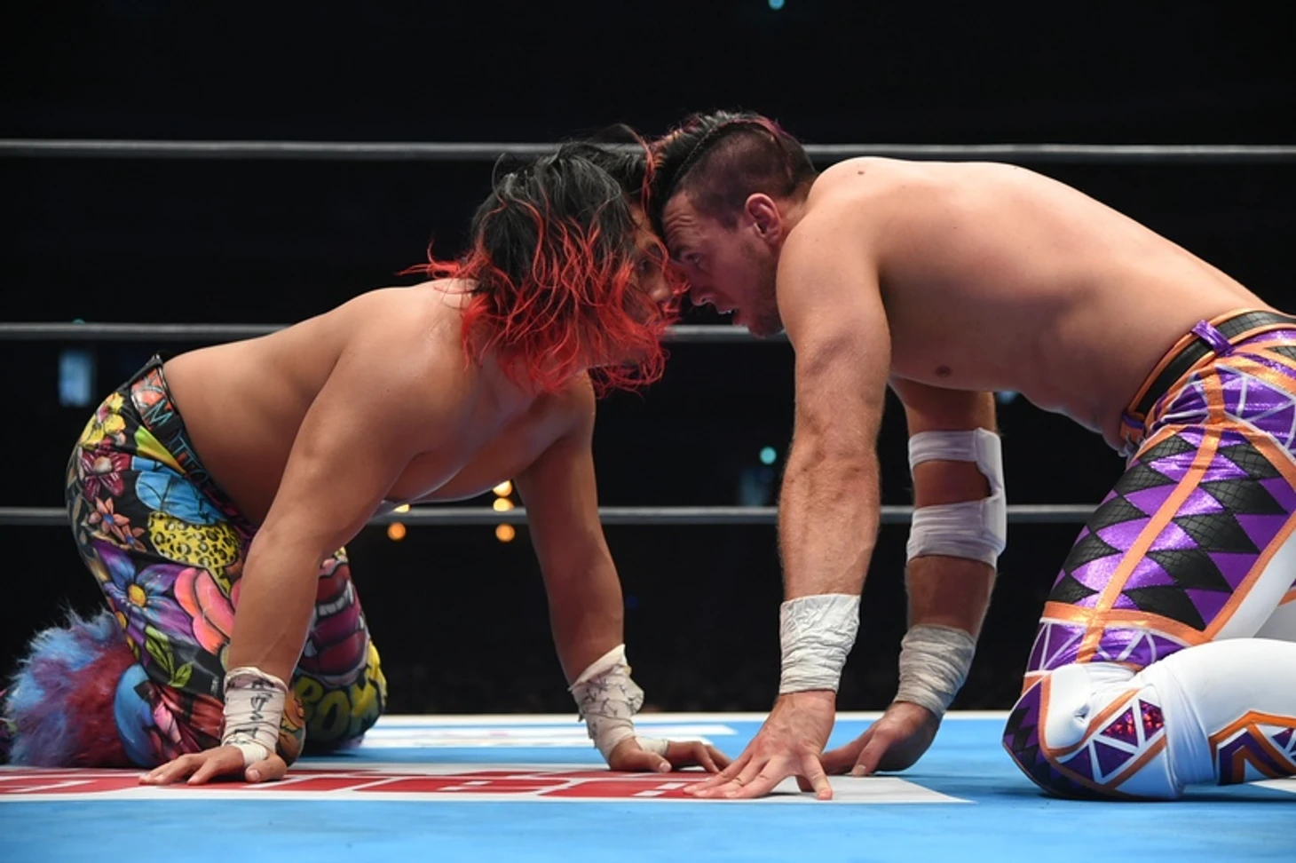 Обзор первого дня Wrestle Kingdom 14, изображение №10
