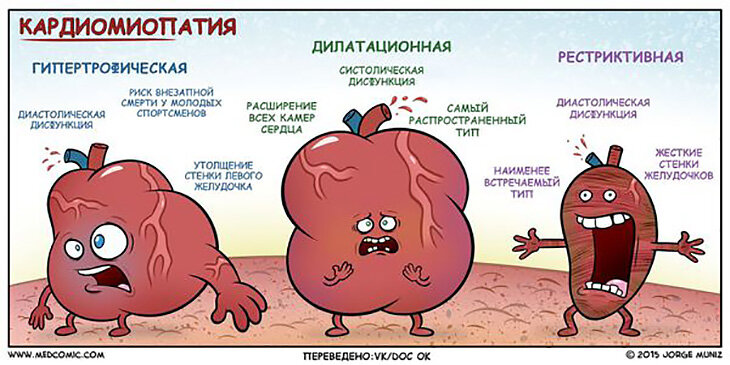 Стероиды и мужское бесплодие