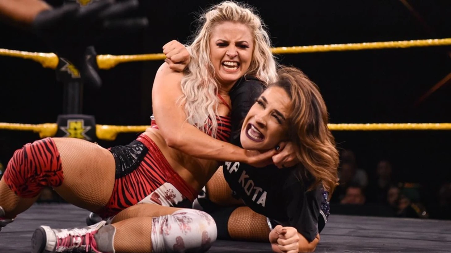 Обзор WWE NXT 12.02.2020, изображение №3