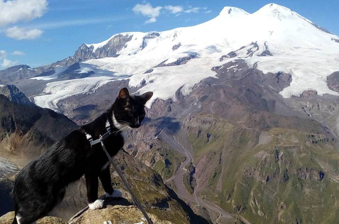 Кошки альпинистские Эльбрус