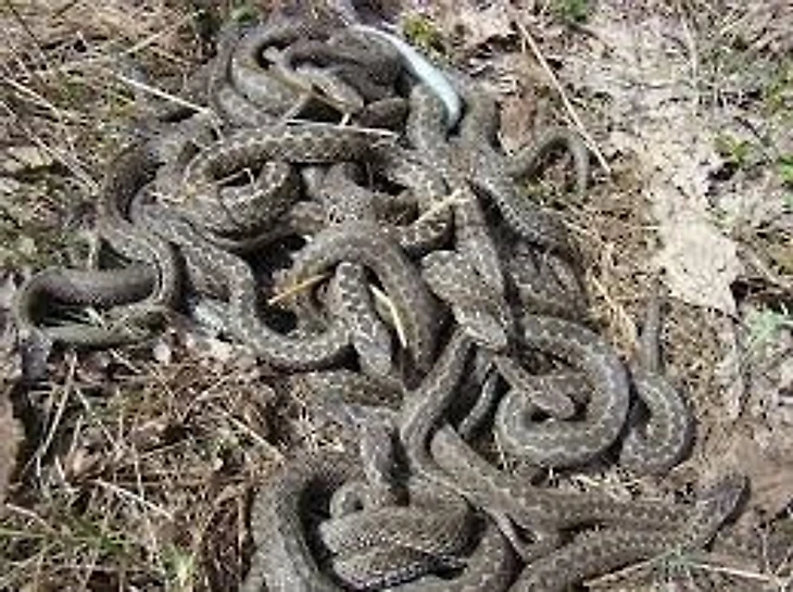 Женский буткемп