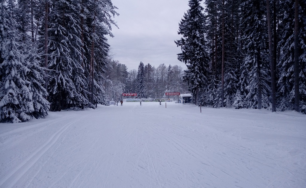 Лыжные трассы ленинградской