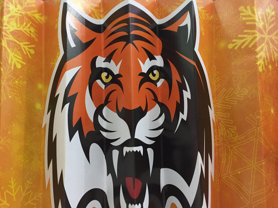 Амурский нрав. Как я игру «Амура» увидел