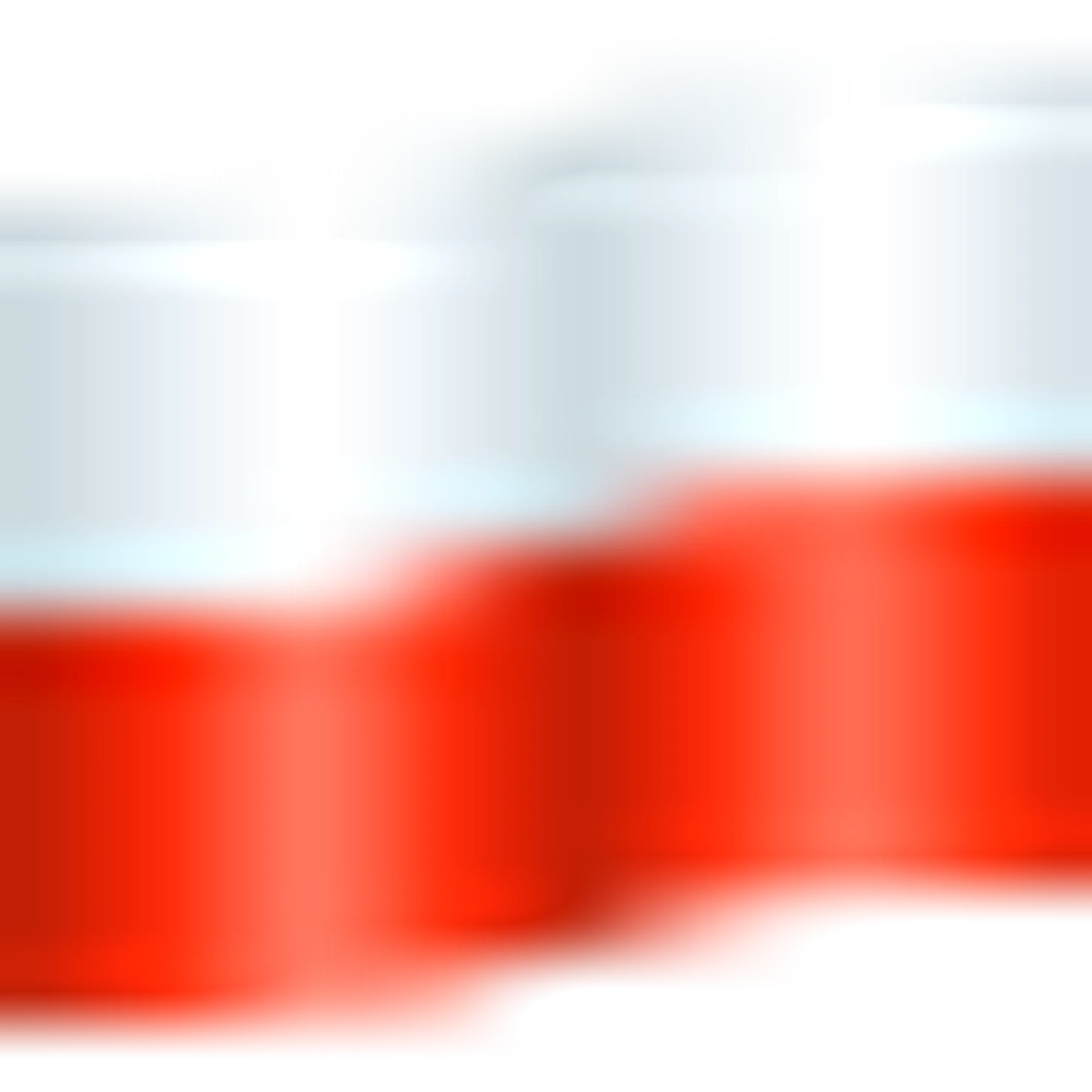 🇵🇱