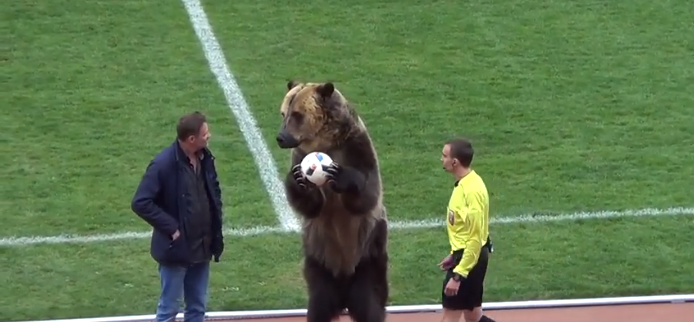 Медведь на игре в ПФЛ. Теперь вы видели все