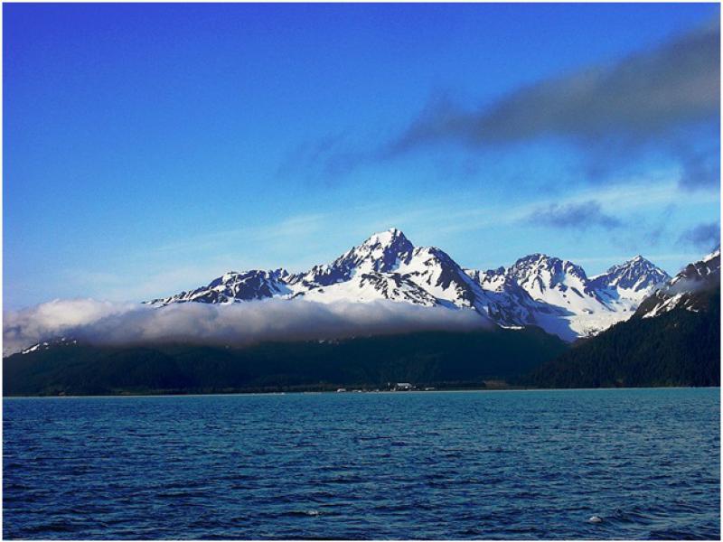 Ставки на спорт