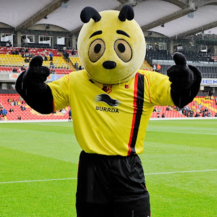 Маскот Уотфорд
