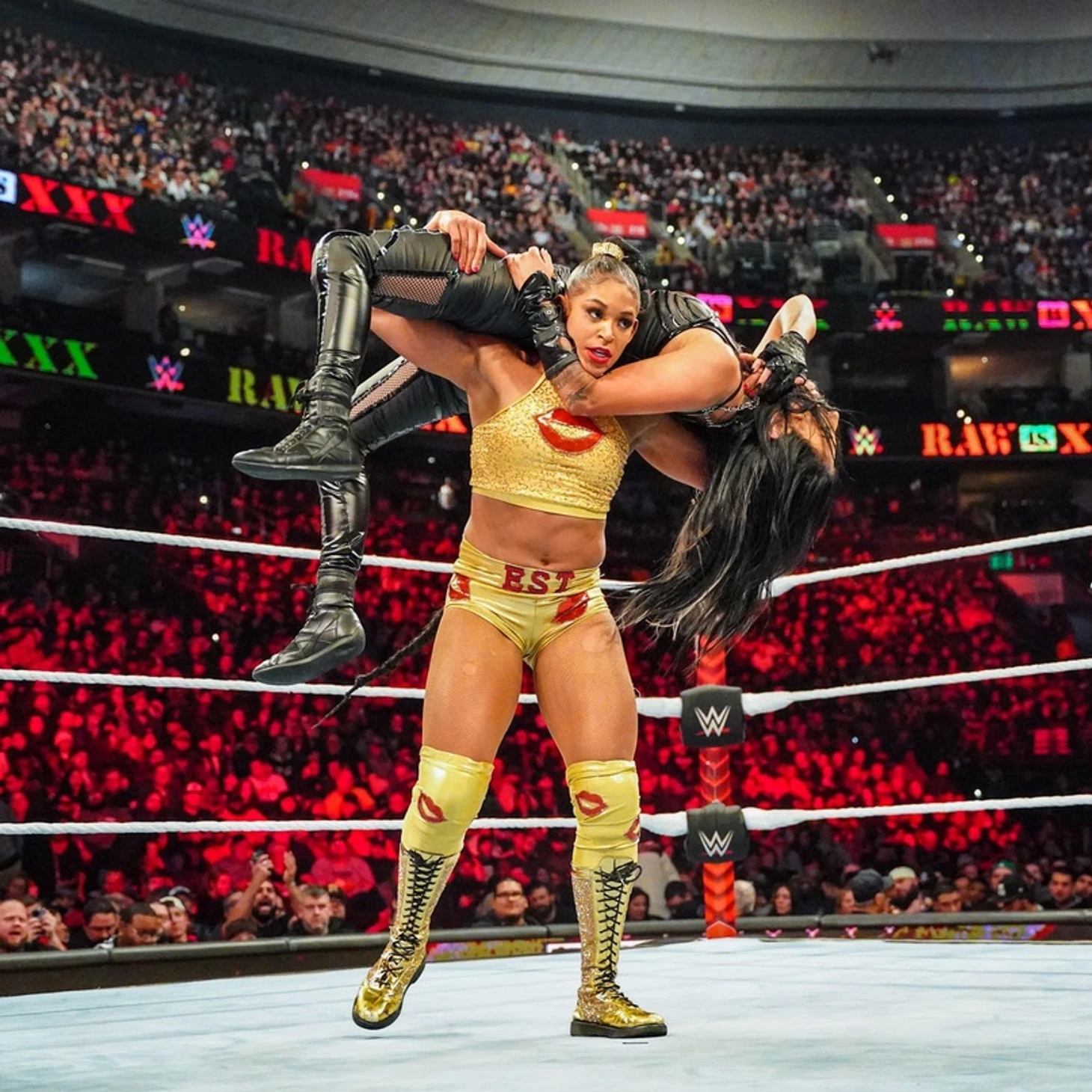 Обзор WWE RAW Is XXX, изображение №26
