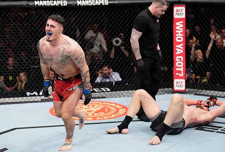 Волков - Аспинэлл