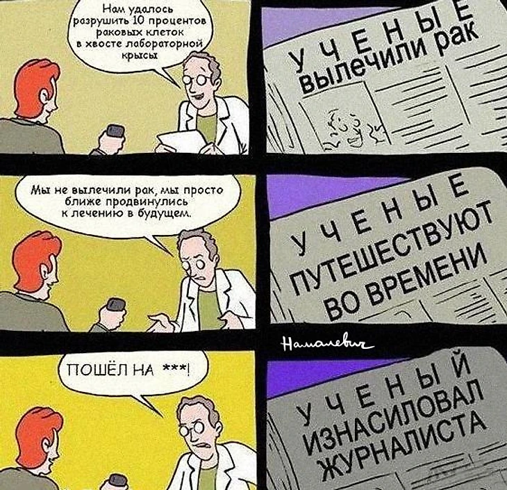 журналисты