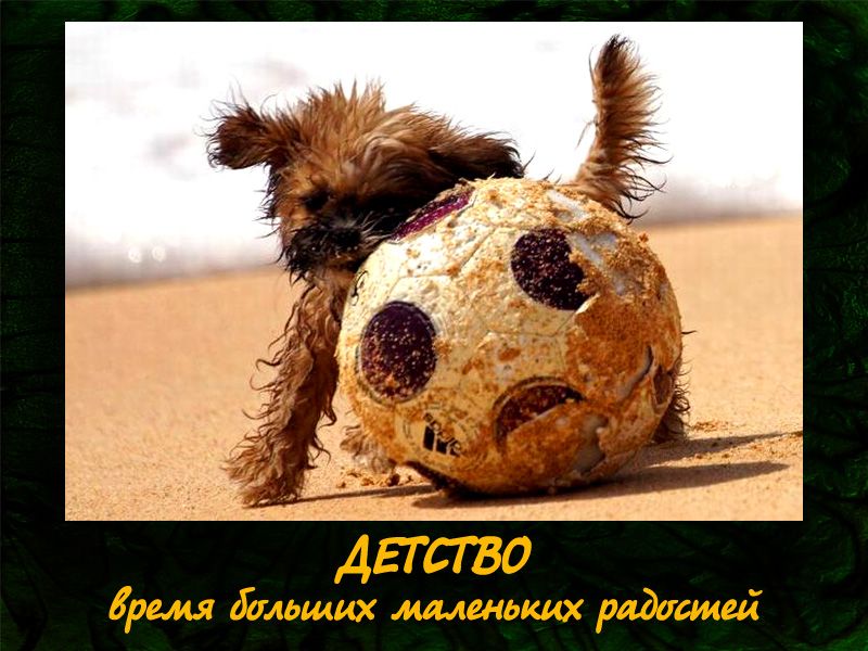 Обзор Трибуны