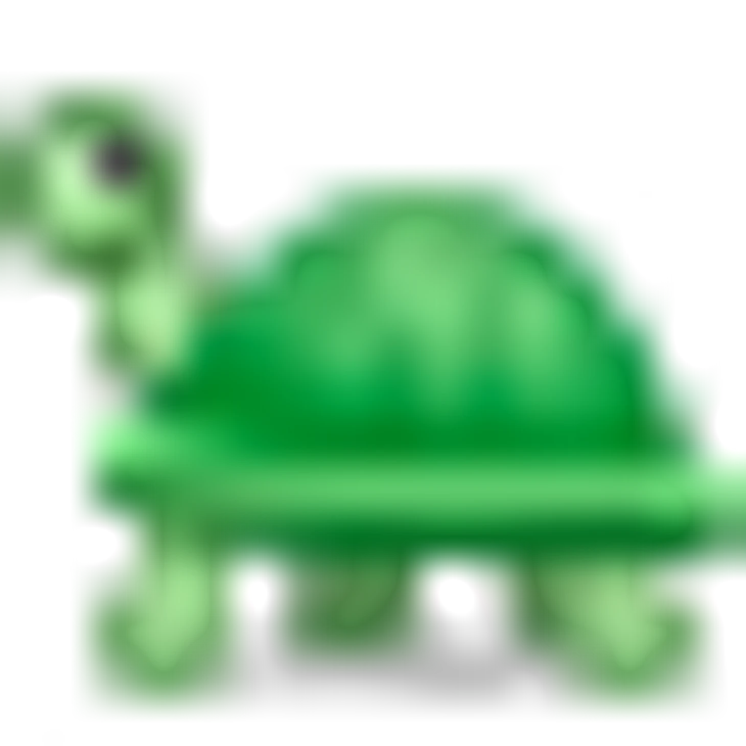 🐢
