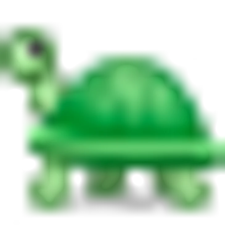 🐢