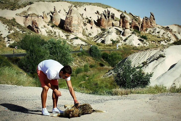 Игорь Киреев