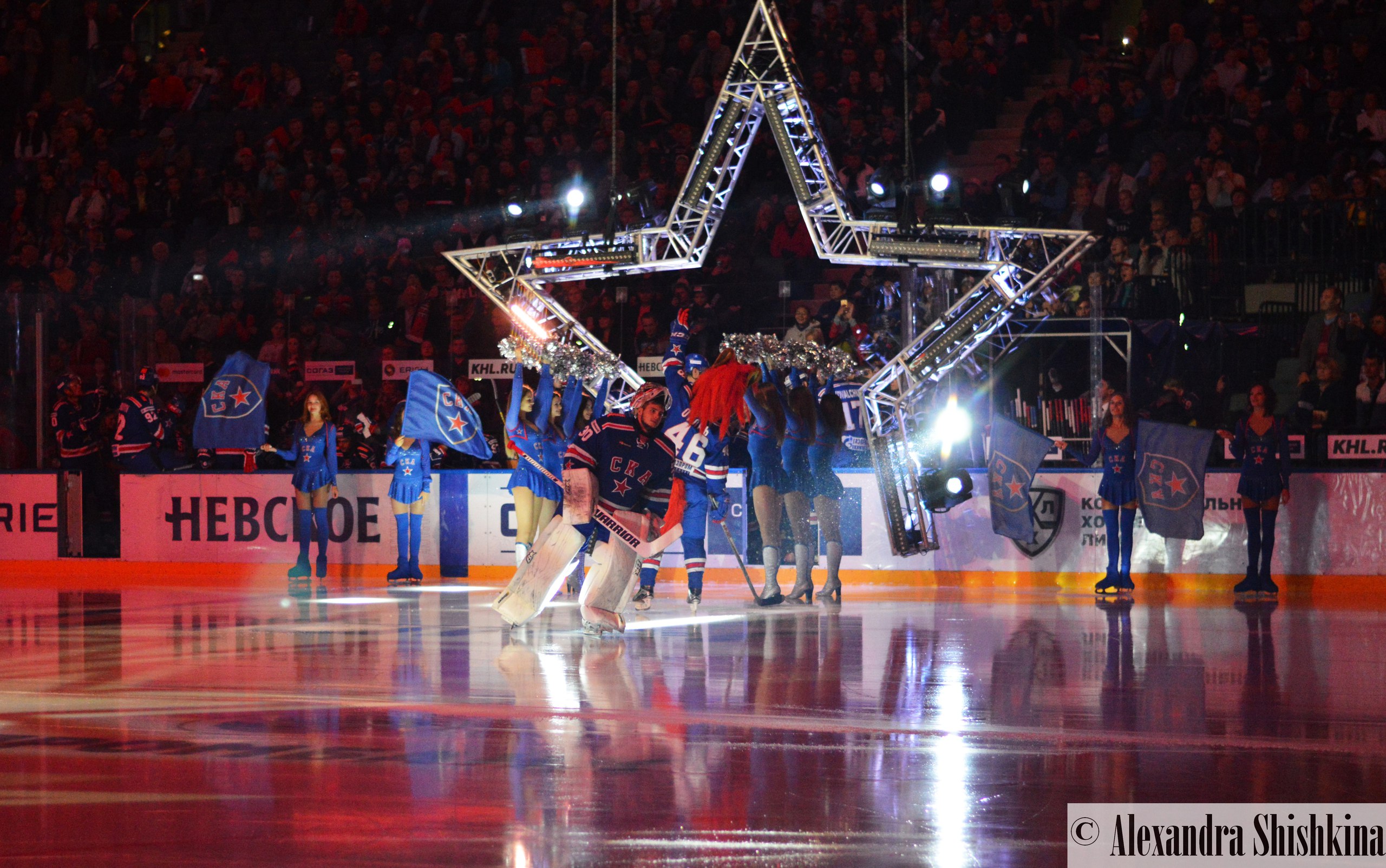 Игорь Шестеркин СКА вратарь 