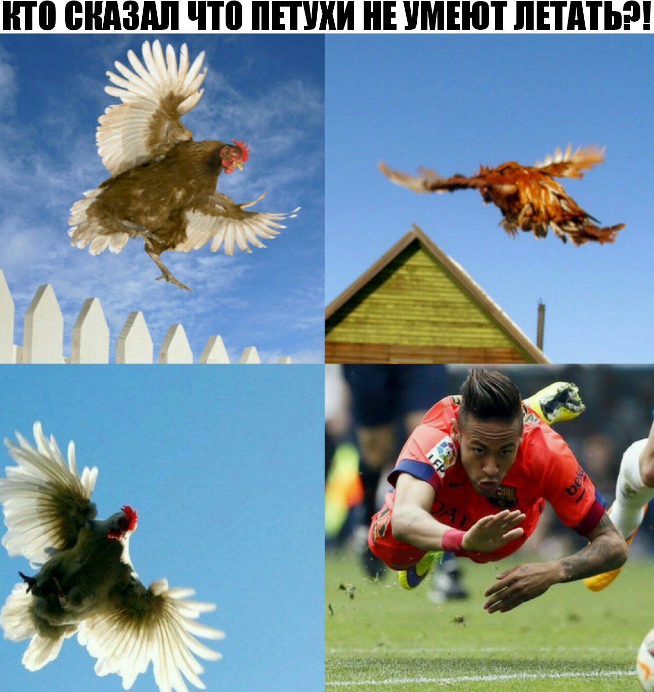 Барса